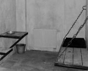 LE PRIX D’UNE CONSCIENCE PURE : LA GUERRE SILENCIEUSE DE DIETRICH BONHOEFFER