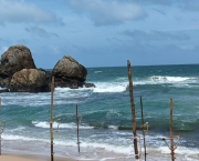 Other lives but mine - TSUNAMI 2004 Sri Lanka