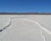 Ce qu'il y a de spirituel dans un propos, un écrit, un geste, une situation ou ce qui augmente leur intérêt, c'est ce sel qui a un grand pouvoir de conversation !