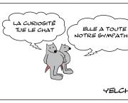 Le rat qui appréciait la curiosité