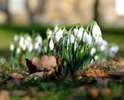 Un air de printemps