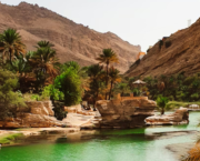 Oasis