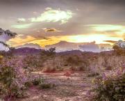 Être Libre, c’est être Maître de son Destin - Anticipation.