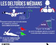 Travaille efficacement les deltoïdes médians