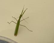 Le jardin du 4 Septembre 