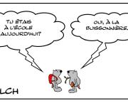 Différentes écoles