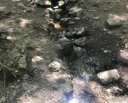 Le jour où j'ai appris à voir- Introduction