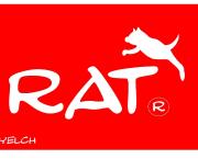 une nouvelle marque d'équipements sportifs!