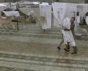 Une journée particulière (Una giornata particolare, Ettore Scola, 1977)