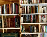 Le jardin du 30 juillet 