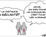 DISTANCE DE SECURITE CORONAVIRUS ET RATS