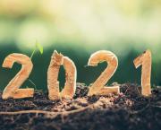 Gracieux horoscope du nouvel an 2021