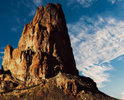 Le palmier de la fécondité