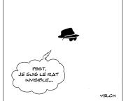 Le rat qui était invisible