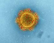 Réflexion d'Hélène Conway-Mouret au sujet du coronavirus