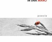 Il sole in una mano. Invito alla lettura