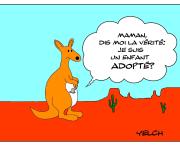 Raton adopté