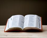 Larousse n'avait qu'à bien se tenir...