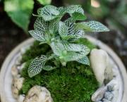 Terrarium - part 2