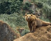 Ours