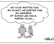 Le rat qui se méfiait de tout