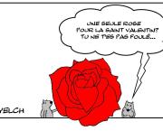 Une seule rose pour la Saint Valentin