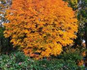 Là où s'entremêlent l'histoire et le métier