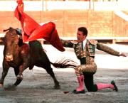 Sur la "maltraitance" animale, l'heure devient grave !