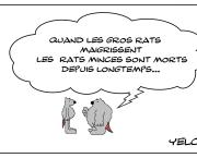 Le rat obèse qui se prenait pour Lao Tseu