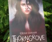 Thorngrove - Cécile GUILLOT (Décembre 2019)