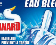 Canard