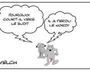 Perdu dans le sud