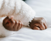 Le sommeil de la vie