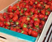 Confiture de fraises sans sucre