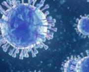 My pandemic story