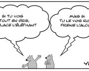 Elephant gris , éléphant rose