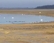 CTW47 - Lac de la forêt d'Orient : janvier 2026