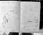 Petits Papiers Volants : Journal D'écriture 2003-2018 - Mercredi 17 janvier 2018