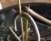 Reedskin