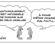 Le rat qui se plaignait de ne pas pouvoir dormir sur ses deux oreilles