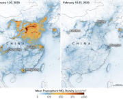 4 Leçons Du Coronavirus Pour Préparer La Crise Environnementale (Part. 1/4)