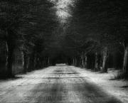 LE TEMPS DE LA DETRESSE