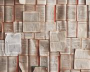 Interview : Roland Fuentès, écrivain