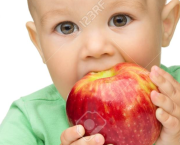 Jour numéro 1 : Pomme