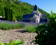 Les Serbes de Provence