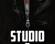 Studio sex (Annika Bengtzon, #1) by Liza Marklund
