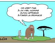 Singe qui fait la grimace