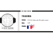 TRAUMA - N'TO feat Ethereals (Worakls remix)
