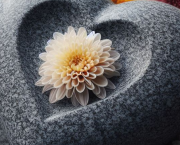 Coeur Toussaint
