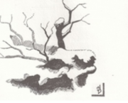 Anecdote météo, neige fin avril 1765 à Carcassonne